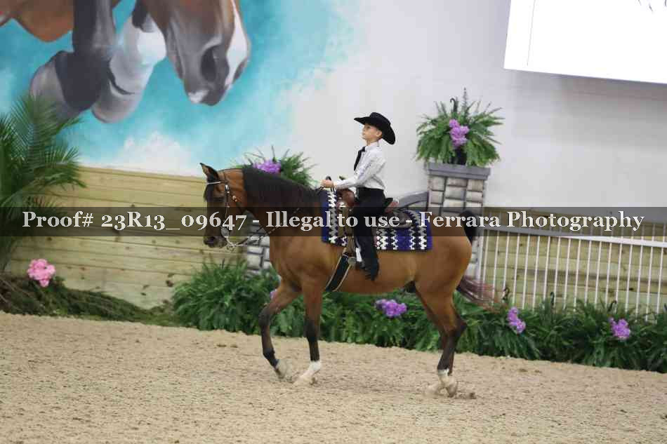 Proof 23R13_09647