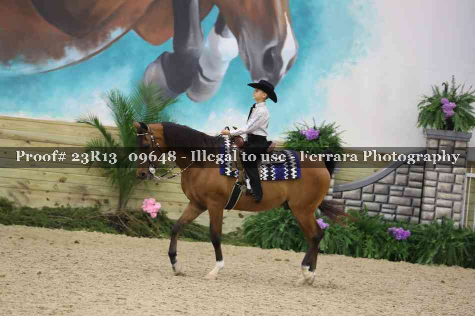 Proof 23R13_09648