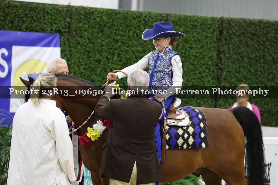 Proof 23R13_09650