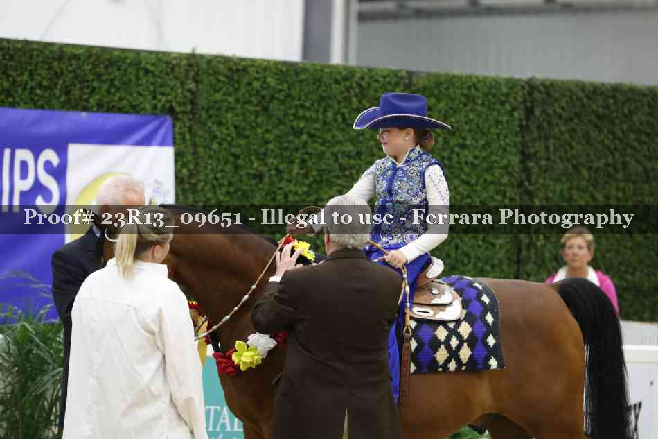 Proof 23R13_09651