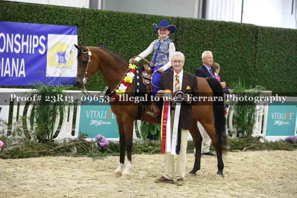 Proof 23R13_09653