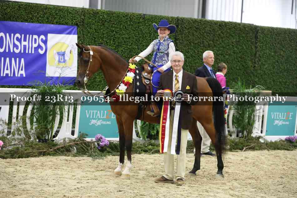Proof 23R13_09654