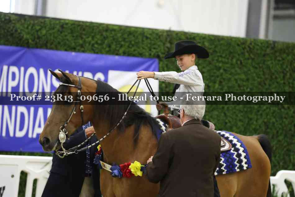 Proof 23R13_09656