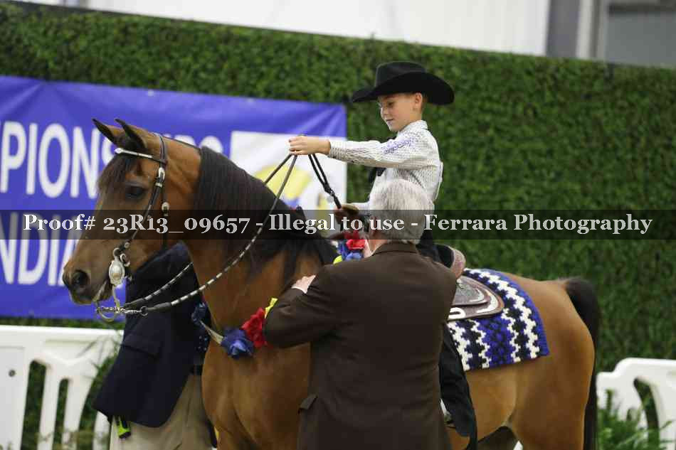 Proof 23R13_09657