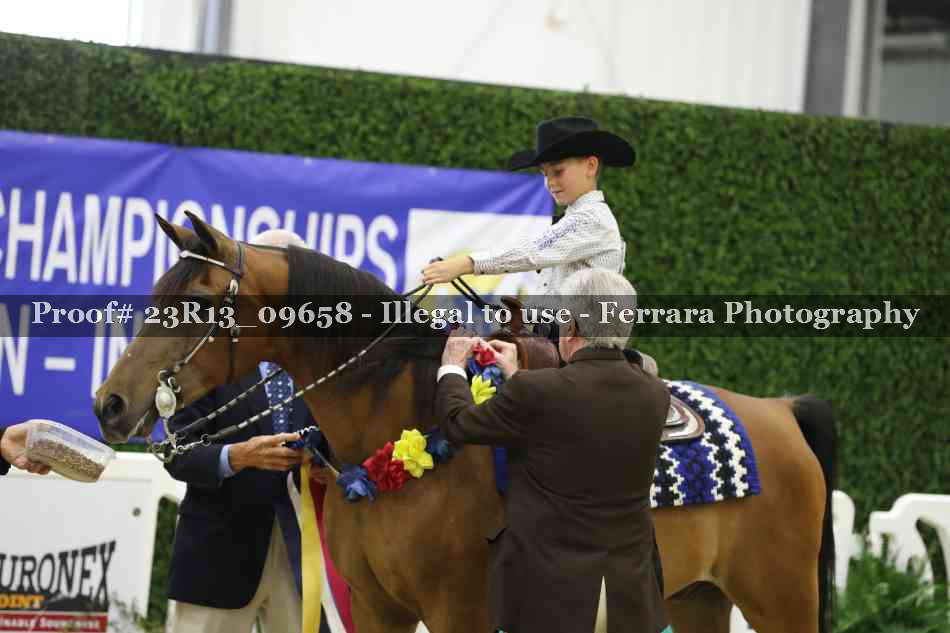Proof 23R13_09658