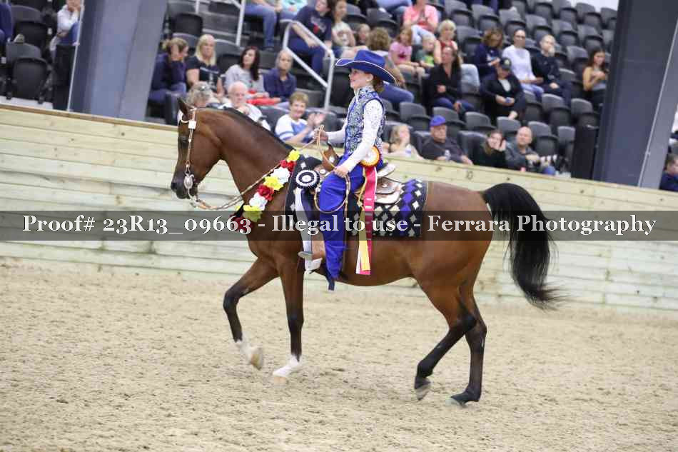Proof 23R13_09663