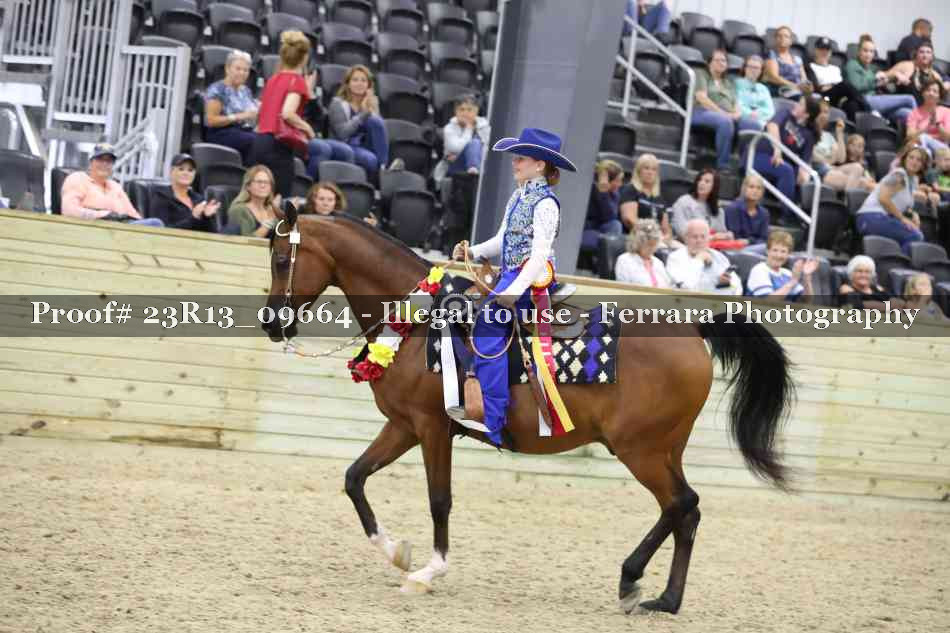 Proof 23R13_09664