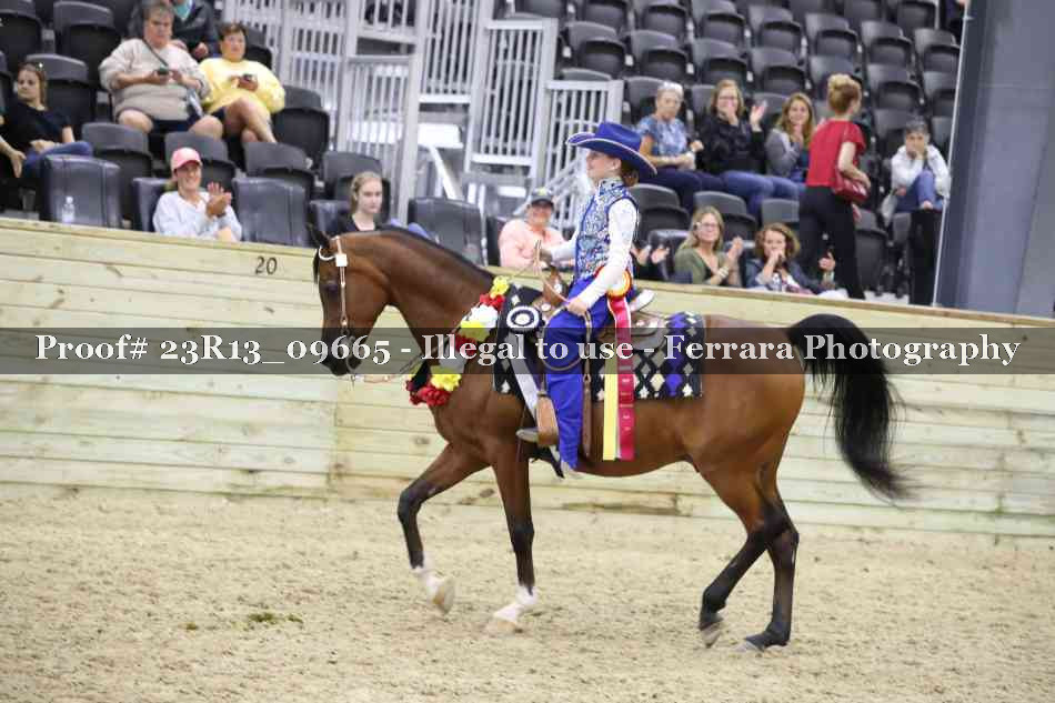 Proof 23R13_09665