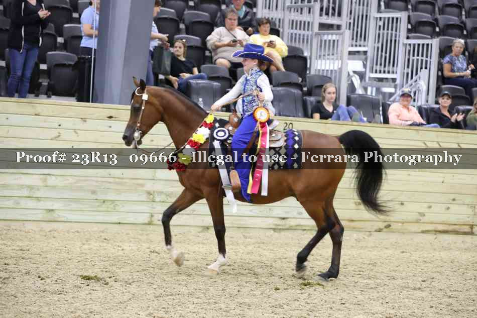Proof 23R13_09666