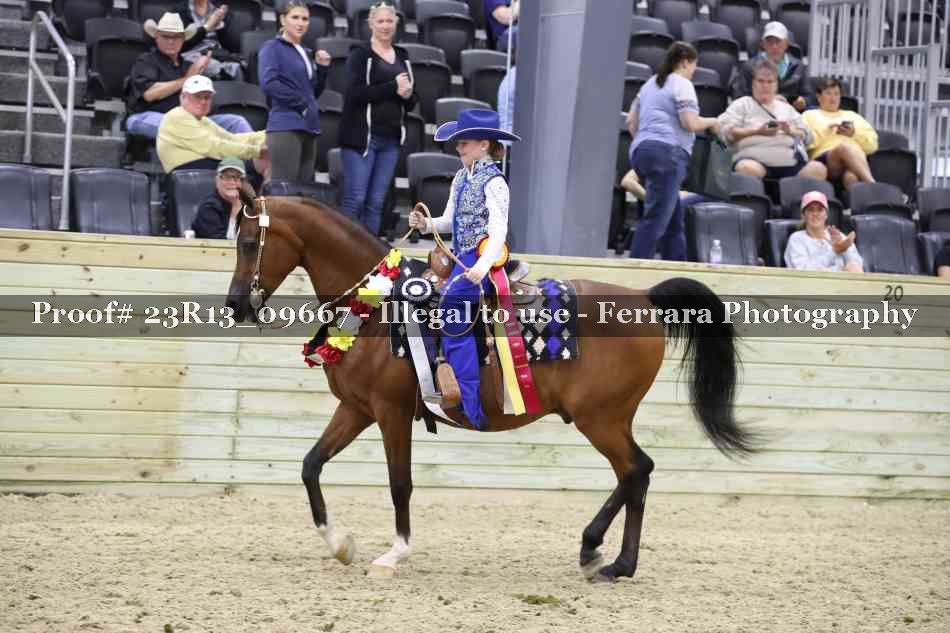 Proof 23R13_09667