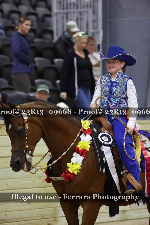 Proof 23R13_09668