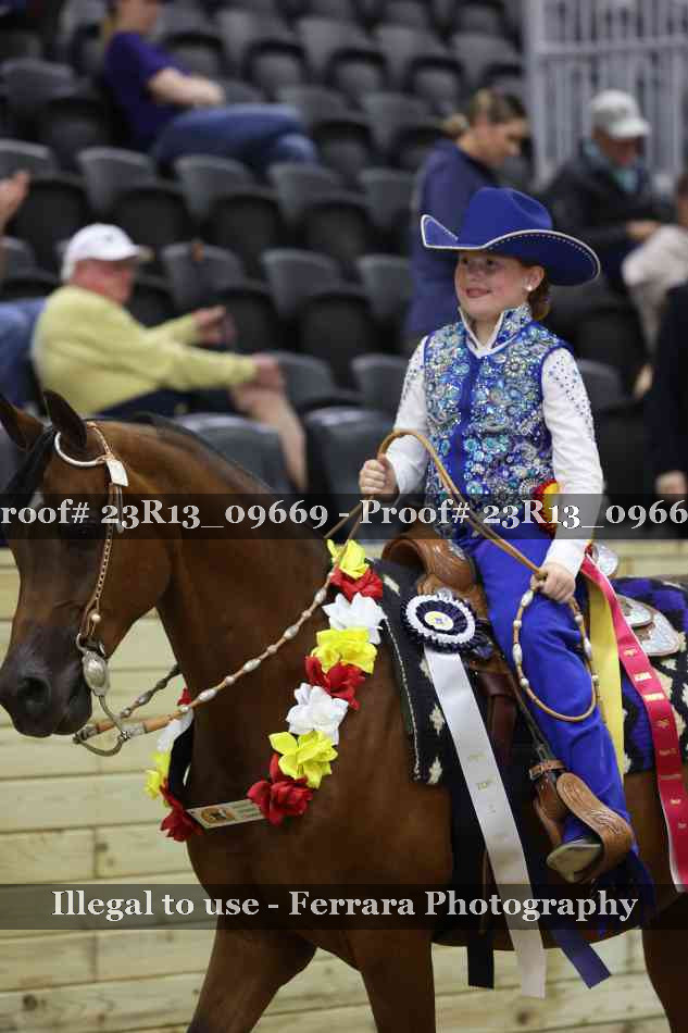Proof 23R13_09669