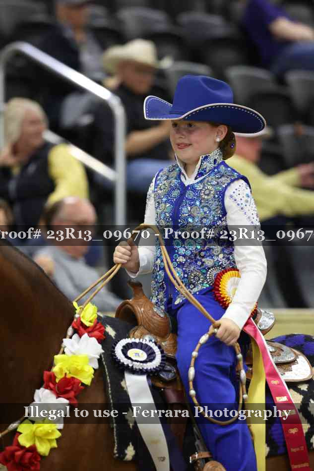 Proof 23R13_09670