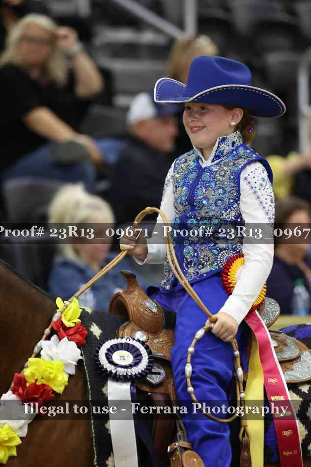 Proof 23R13_09671