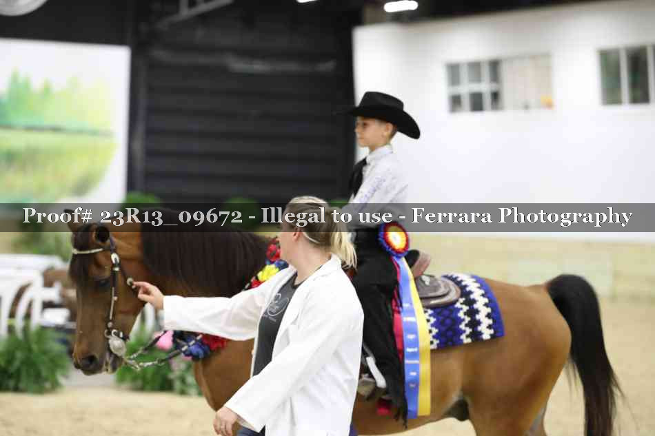 Proof 23R13_09672