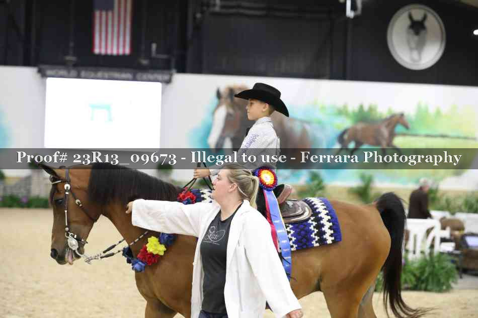 Proof 23R13_09673