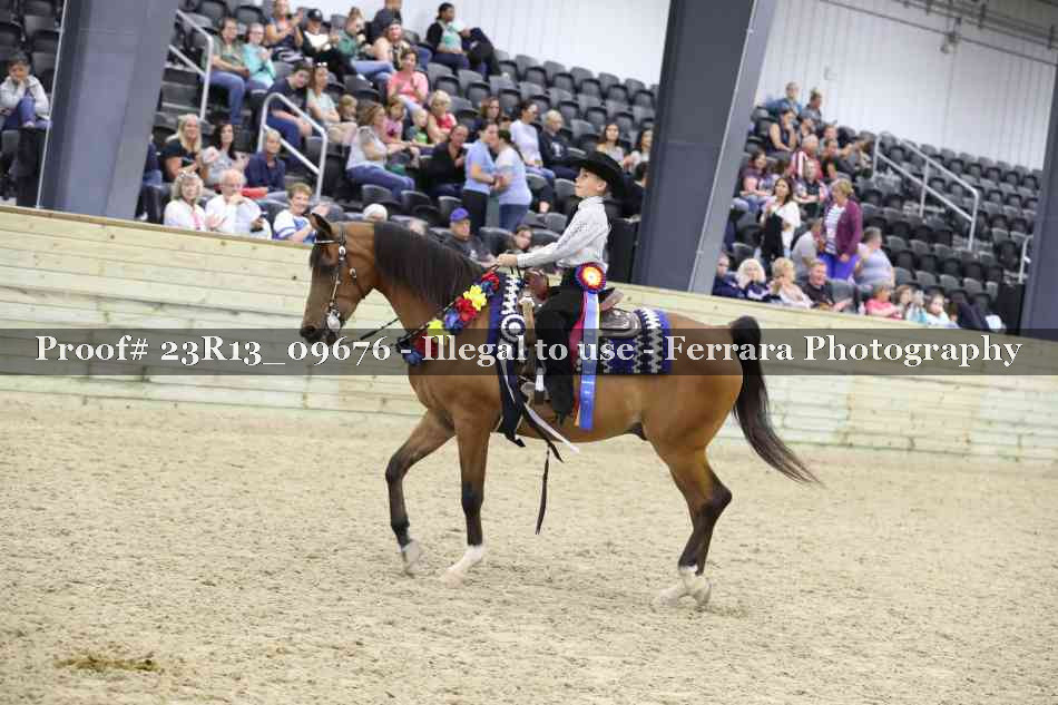 Proof 23R13_09676