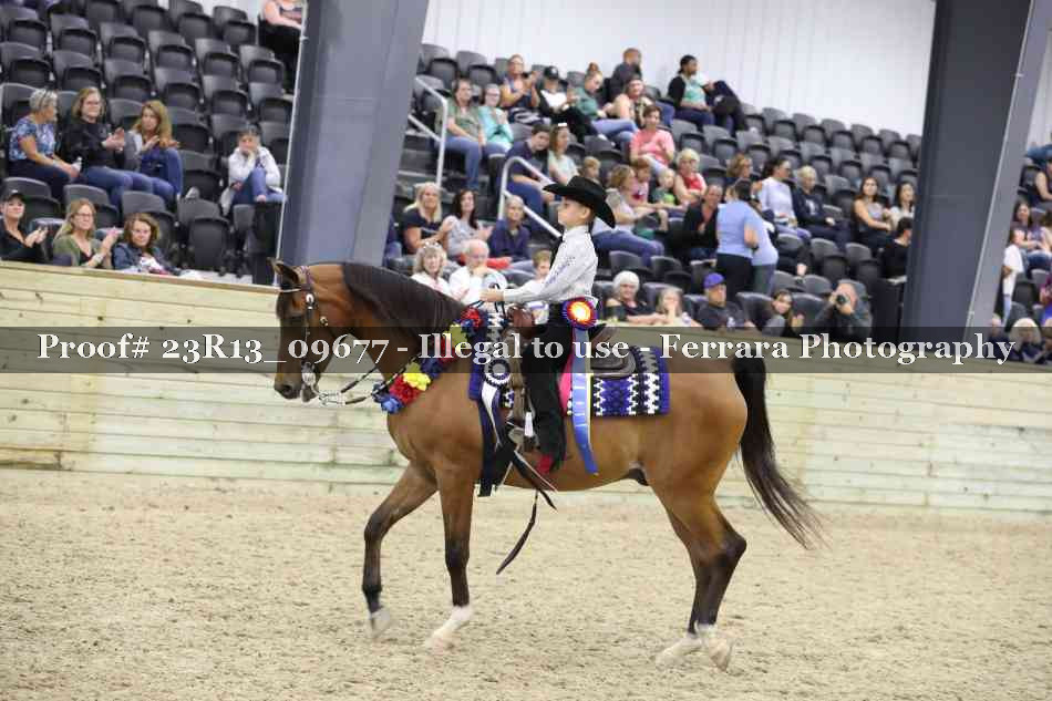 Proof 23R13_09677