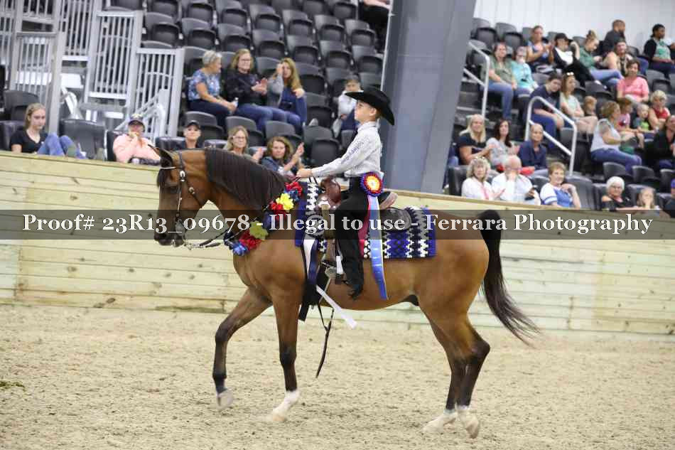 Proof 23R13_09678