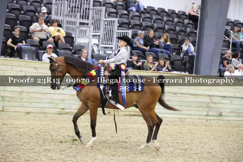 Proof 23R13_09679