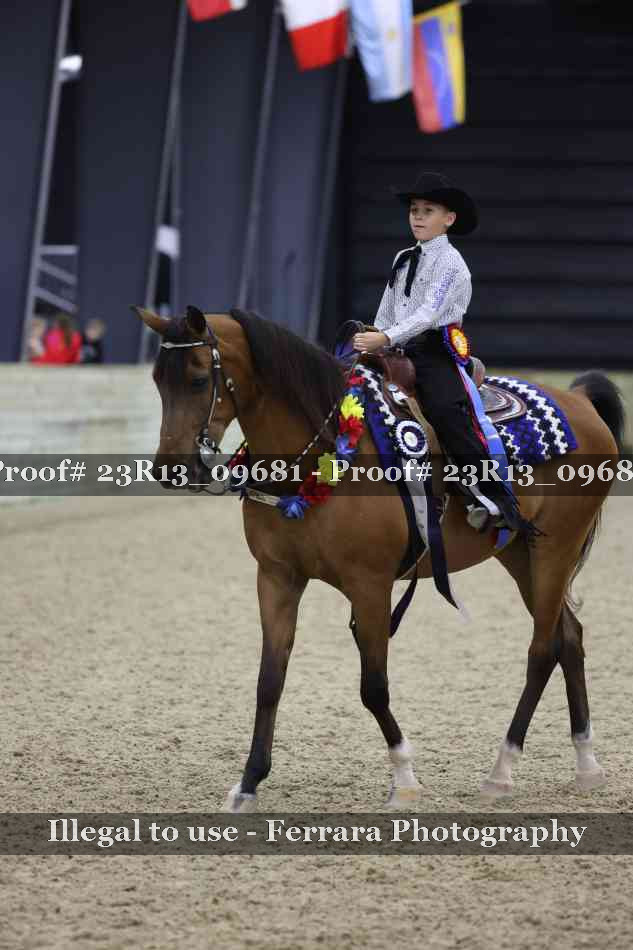Proof 23R13_09681