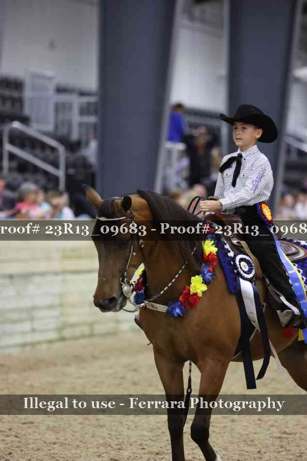 Proof 23R13_09683