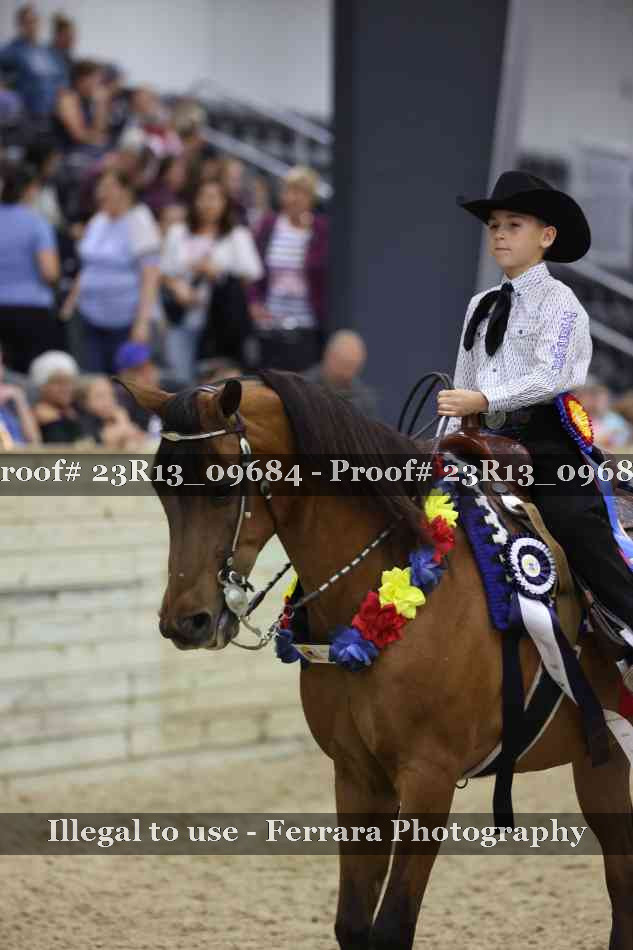 Proof 23R13_09684