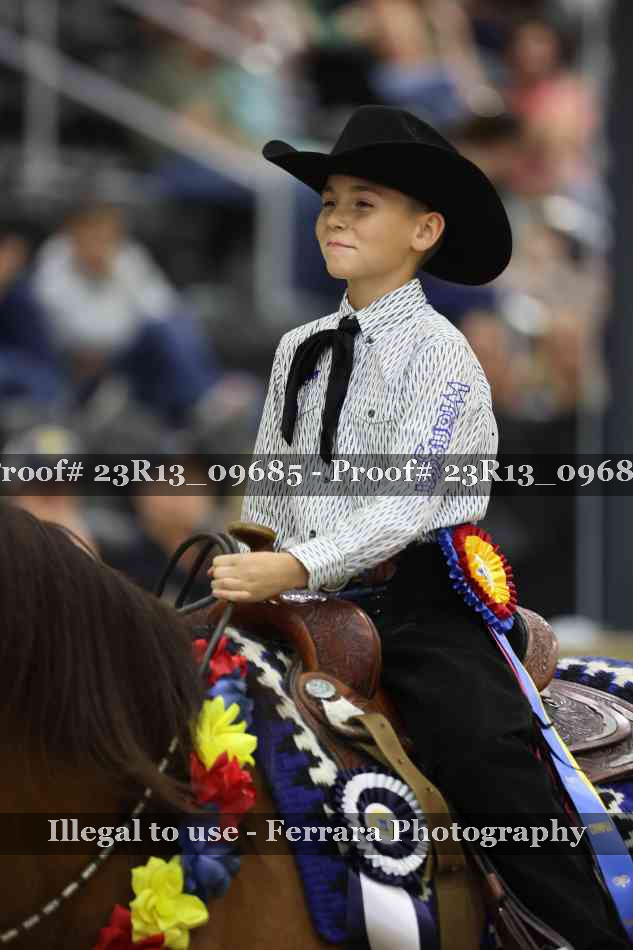 Proof 23R13_09685