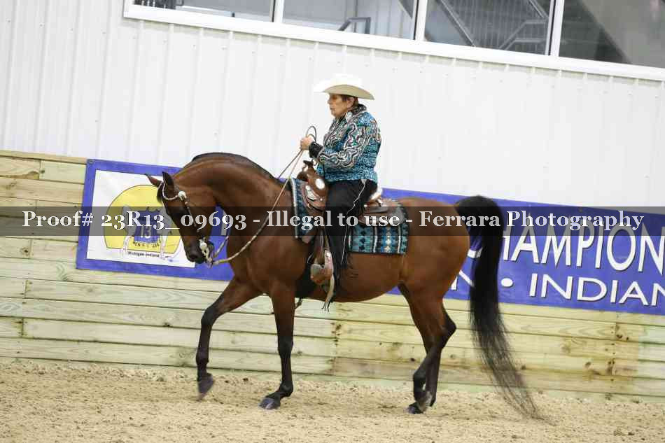 Proof 23R13_09693