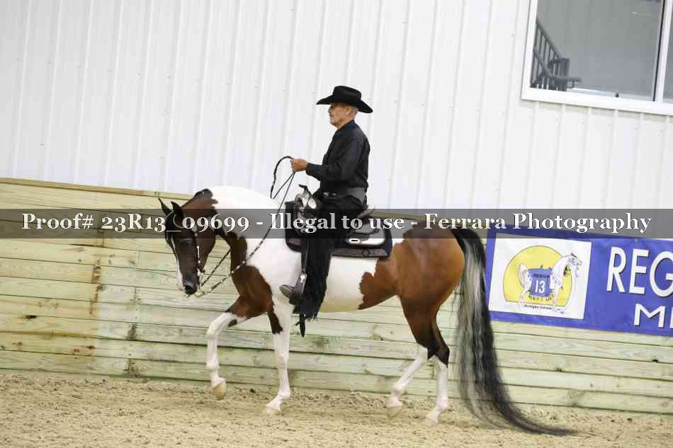 Proof 23R13_09699