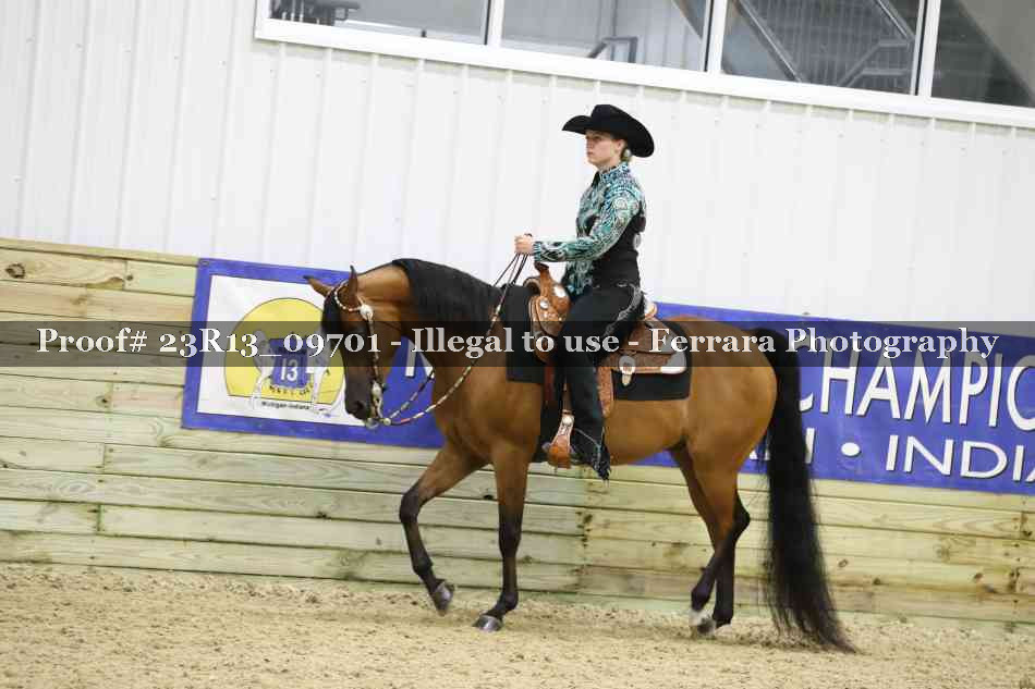Proof 23R13_09701