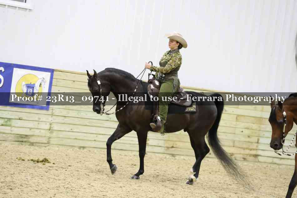 Proof 23R13_09741