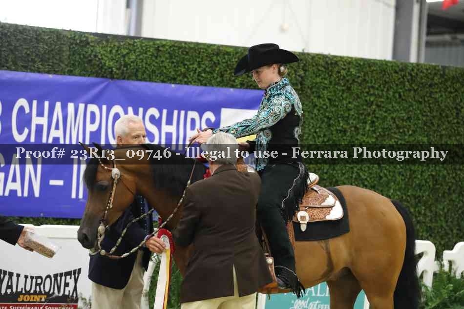 Proof 23R13_09746