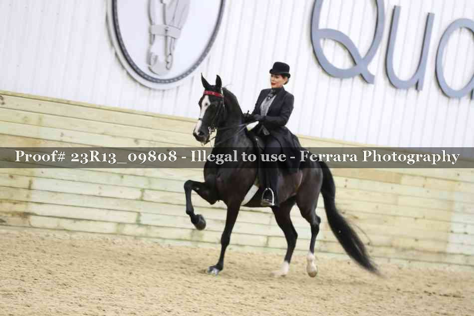 Proof 23R13_09808