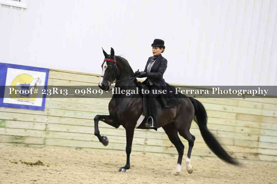 Proof 23R13_09809