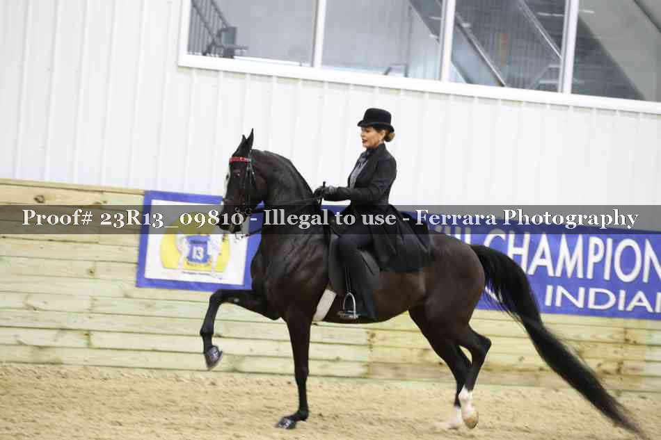 Proof 23R13_09810