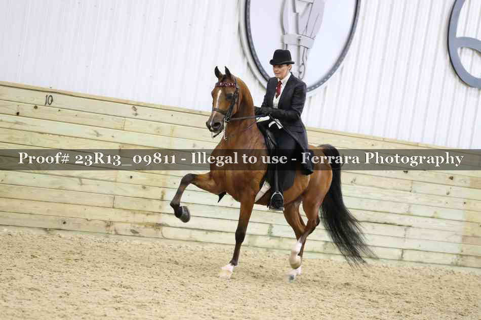 Proof 23R13_09811