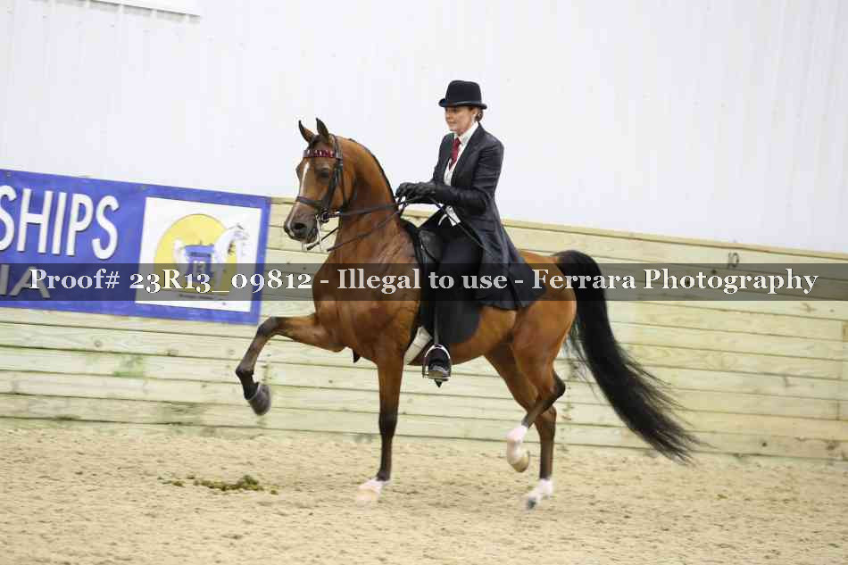 Proof 23R13_09812