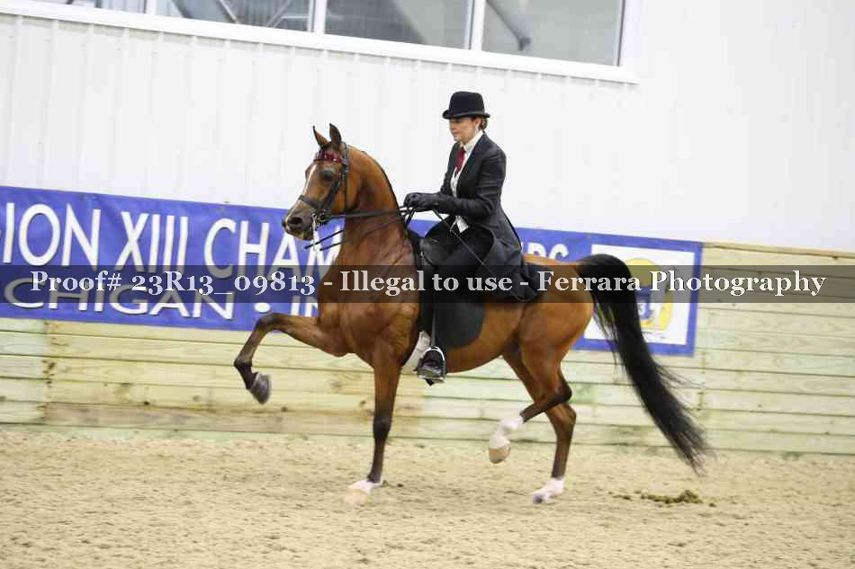 Proof 23R13_09813