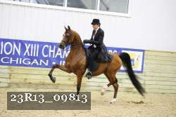 23R13_09813 proof