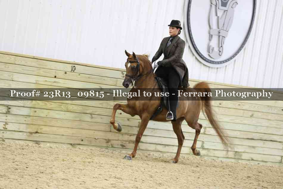 Proof 23R13_09815