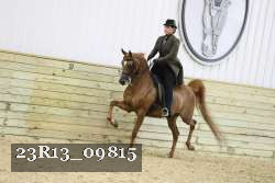 23R13_09815 proof