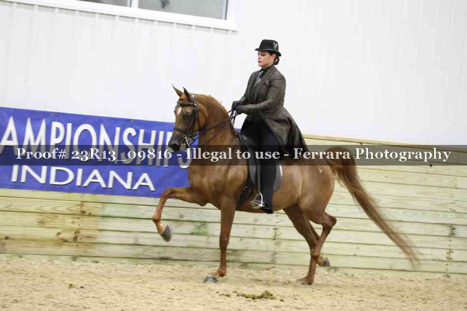 Proof 23R13_09816
