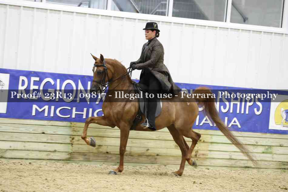Proof 23R13_09817