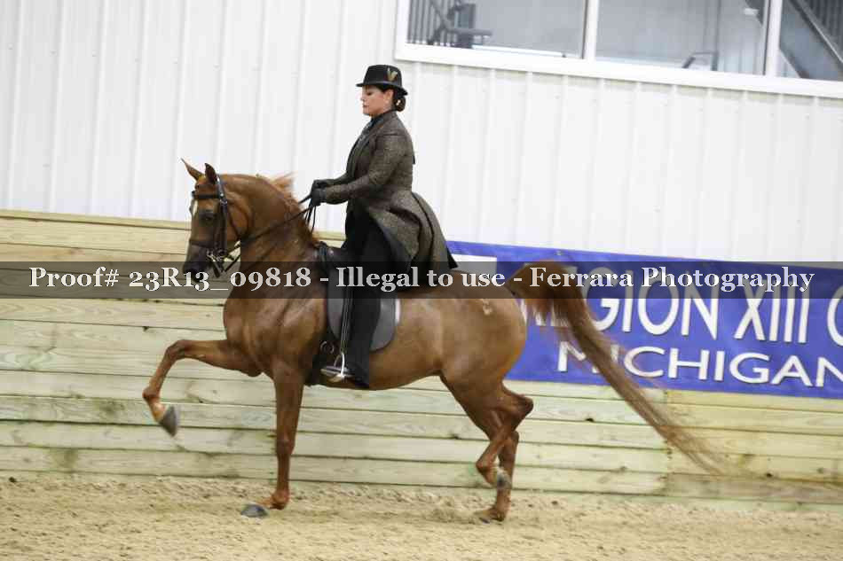 Proof 23R13_09818