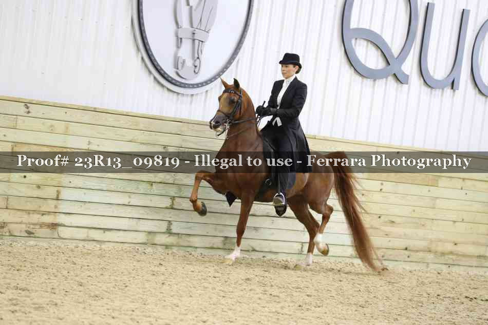Proof 23R13_09819