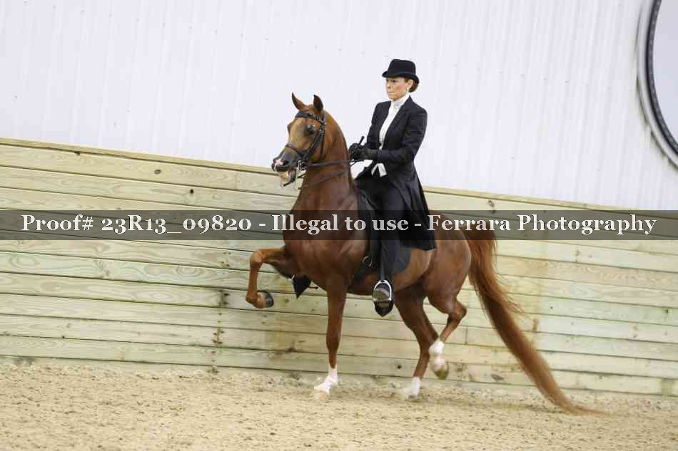 Proof 23R13_09820