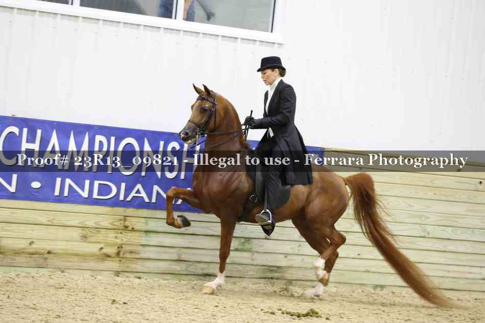 Proof 23R13_09821