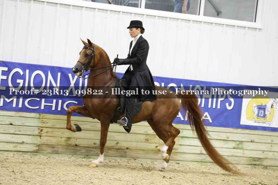 Proof 23R13_09822
