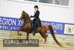 23R13_09822 proof